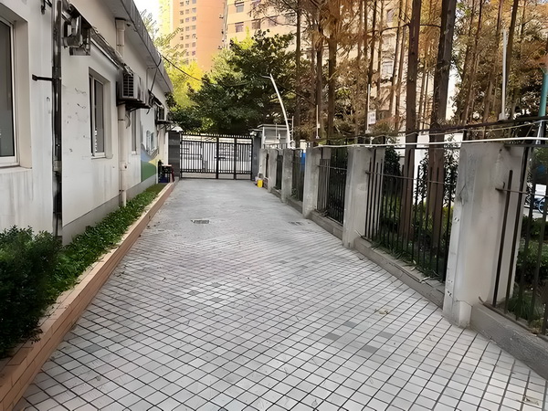 深圳人才落户流程_董璇谈2任丈夫：从没想过会和高云翔离婚，张维伊敢娶我很勇敢 丈夫从没想型：自理